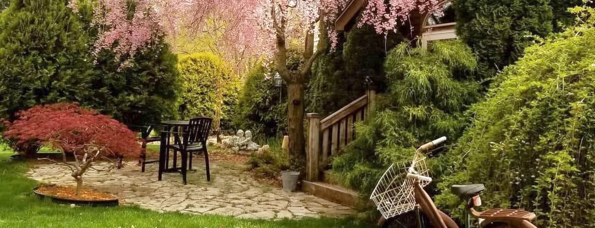 A serene garden with pink flowering trees, a stone pathway, a small red maple, and a bicycle.