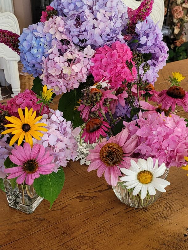 A collection of vibrant floral arrangements featuring hydrangeas, daisies, and echinacea in glass vases.